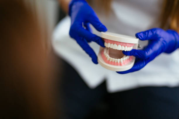 Emergency Dental Services in Seminole, FL
